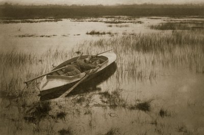 Schütze weckt das Geflügel, Leben und Landschaft auf den Norfolk Broads, um 1886 von Peter Emerson und Thomas Goodall